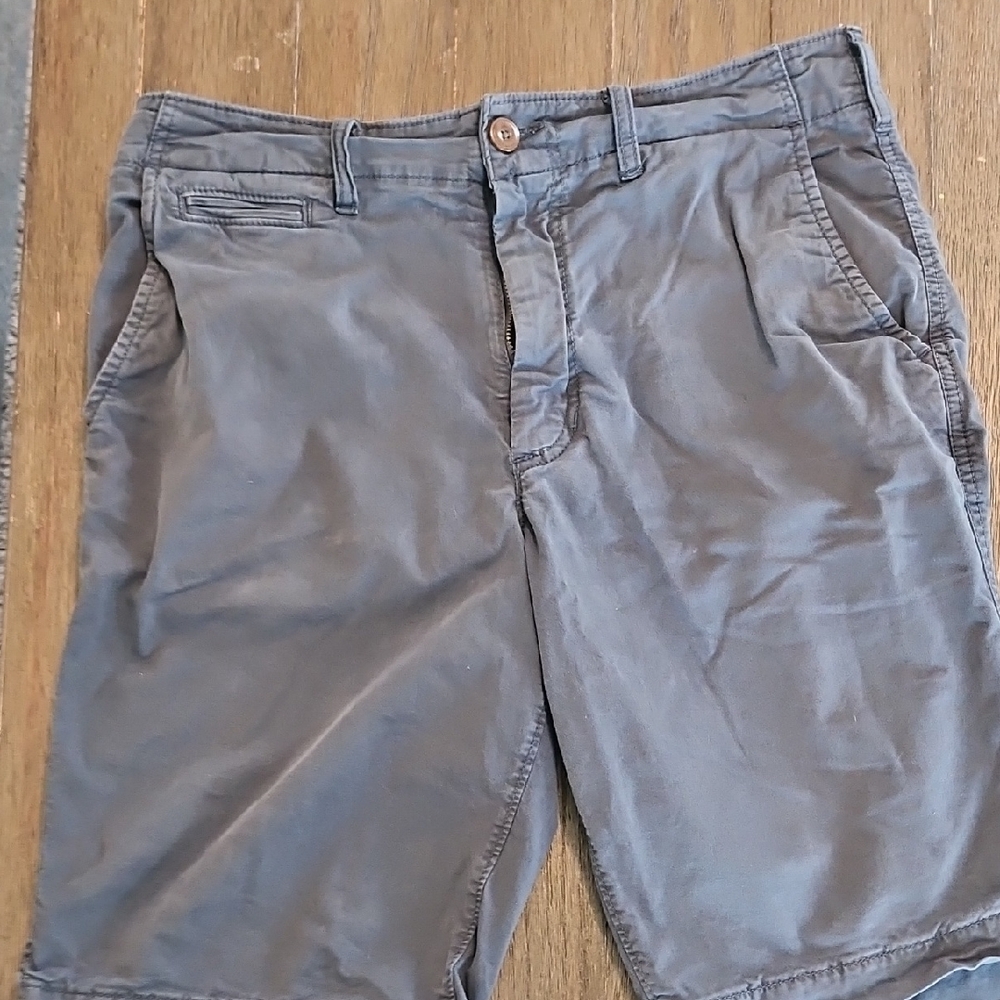 American Eagle Outfitters Men's Gray Flat Front Shorts
